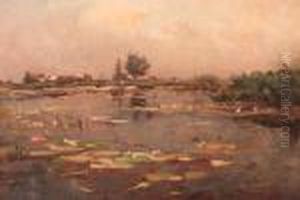 View Of A Polder Pond