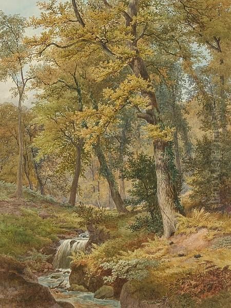 A Woodland Stream - view 1