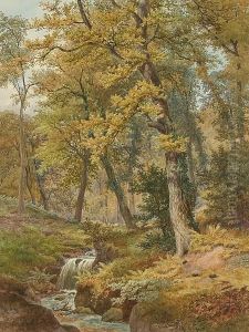 A Woodland Stream by William Wilde