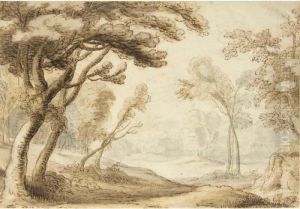 Wooded Valley With Trees Leaning Forwards Into A Clearing
