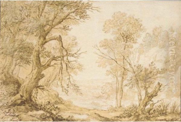 View Of A Rocky Wooded Landscape - view 1
