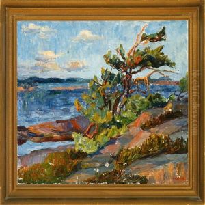 A Norwegian Archipelago by Johannes Martin Fastings Wilhjelm