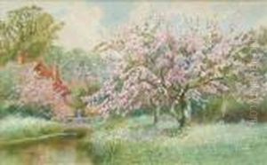 A Surrey Orchard by Arthur Stanley Wilkinson