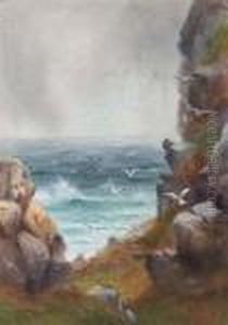 A Coastal Scene With Seagulls