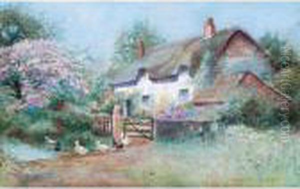 Country Cottage With Ducks - view 1