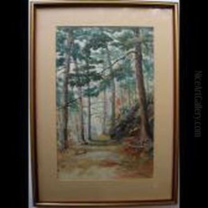 Sunlit Woodland Path by Thomas Harrison Wilkinson
