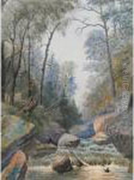 Rushing Rapids - view 1