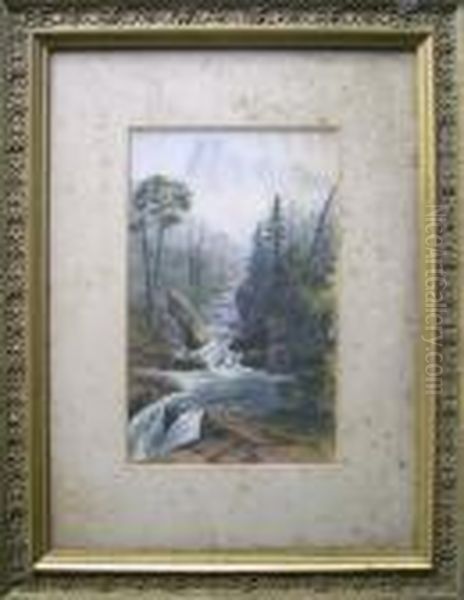 Landscape - view 1