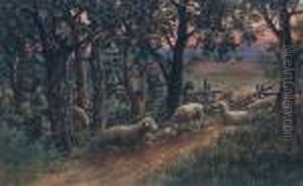 Sheep Grazing At Sunset. - view 1