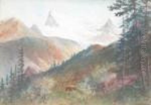 Osa - view 1