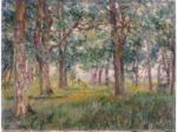 Paysage Au Printemps - view 1