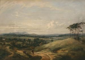 Landscape With A Woman Collecting Firewood Near A Donkey