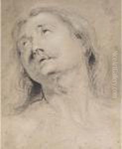 Head Of A Man Looking Up To The Left Head Of A Man Looking Up To The Left