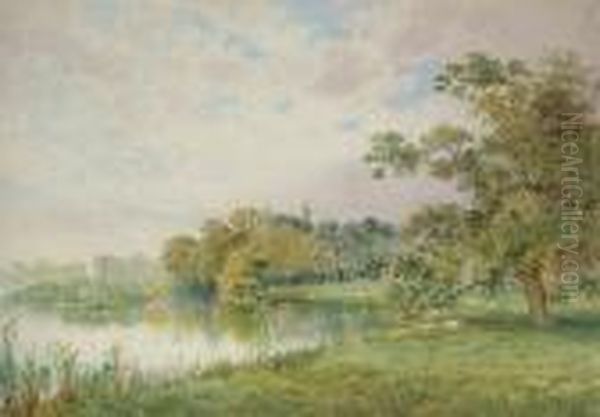 Sheep Grazing By A Lake - view 1