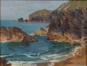 Rocky Coast by Christopher David Williams