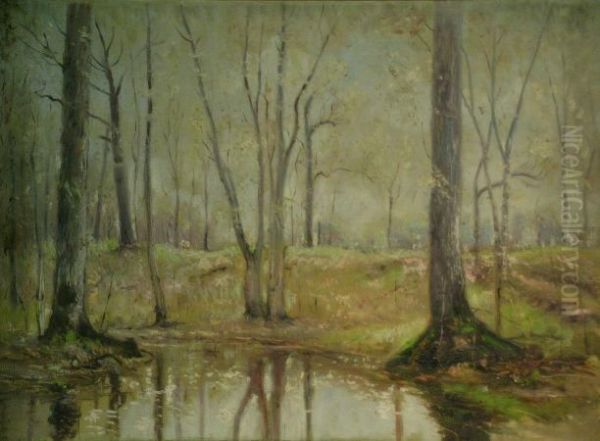 Early Spring In The Woods - view 1