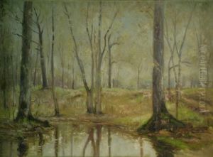 Early Spring In The Woods
