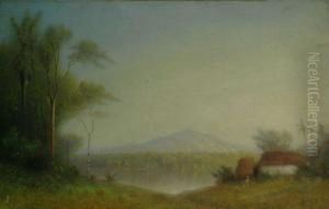 Mexico View Of Hidalgo, Isthmus Tehuantepec