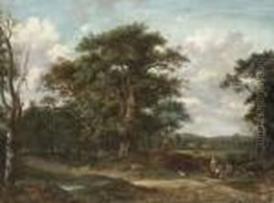 At The Edge Of The Woods