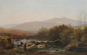 On The Lyd, Dartmoor.