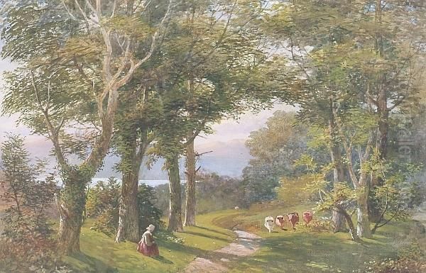 Cattle And A Figure On A Woodland Path - view 1