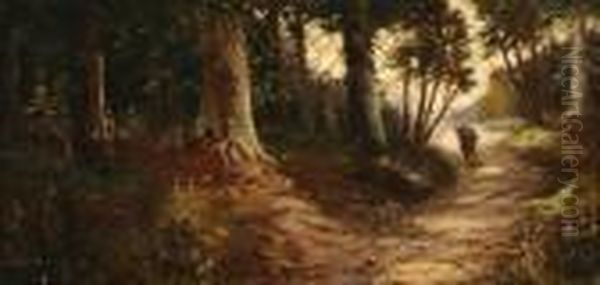 Through The Woods - view 1