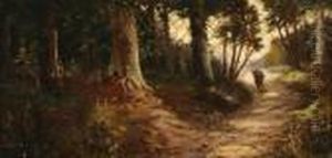 Through The Woods by John Williamson