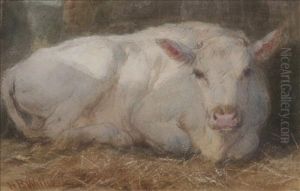Study-white Calf by Henry Brittan Willis, R.W.S.