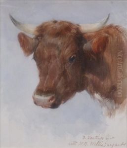 Study Of A Cows Head Study Of A Cows Head