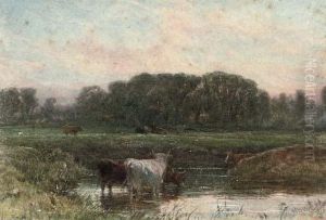 Cowdray Marsh, Midhurst