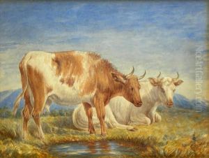 Cattle By Apool Cattle By Apool