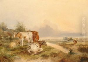 Cattle Resting By A River. Cattle Resting By A River.