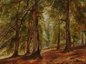 The Beeches, Forest Of Dean, Near Newnham On The Severn by Henry Brittan Willis, R.W.S.