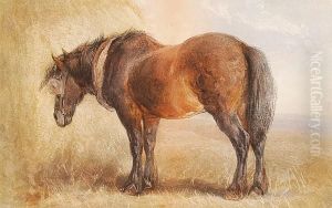 Plough Horse Plough Horse
