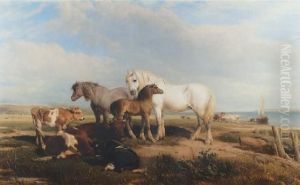 Horse And Cattle On The Shore Horse And Cattle On The Shore