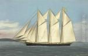 The Sailing Ship Of The Natal-brazil Line Passing Alighthouse by Thomas Willis