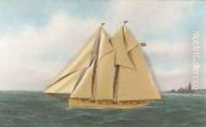The Schooner Alert Of The New York Yacht Club by Thomas Willis