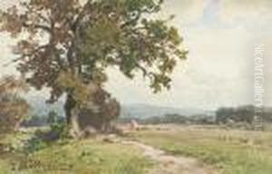 Landschaft Landschaft