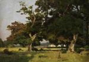 Landschaft Mit Eichen