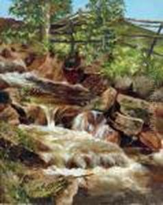 Weide Am Bach Weide Am Bach