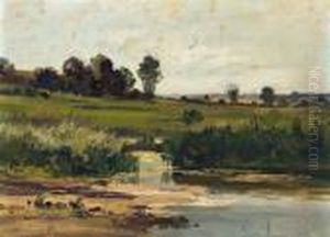 Schilf Am Seeufer by Josef Willroider