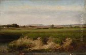 Weite Landschaft. Weite Landschaft.