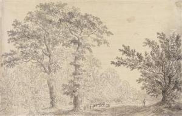 A Landscape Study - view 1
