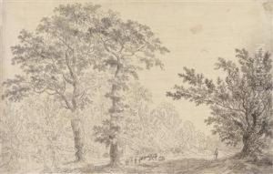 A Landscape Study by Ludwig Willroider