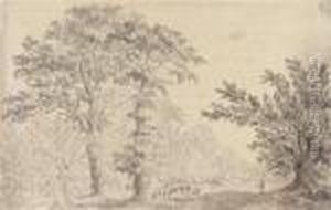 Landschaft Bei Dusseldorf by Ludwig Willroider