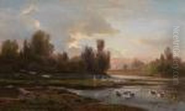 Anatre Sul Stagno - view 1