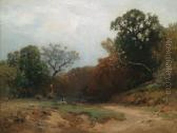 Flock Of Sheep In A Forest Clearing - view 1