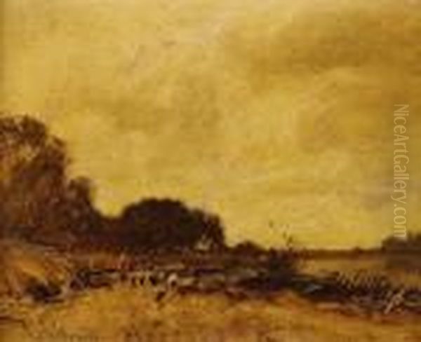 Schafer In Landschaft - view 1