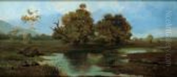 Teichlandschaft - view 1