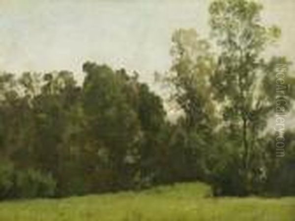 Baumlandschaft. - view 1